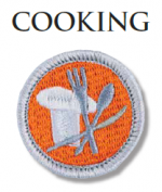 Boy Scouts Cooking Safety Page 6 Introduction to Hazards - Chefsville