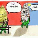 Hot Summer Days
